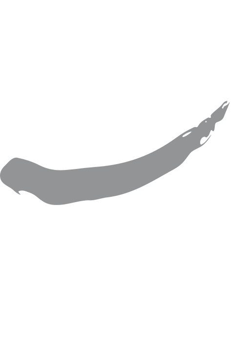 Logo Delicrab