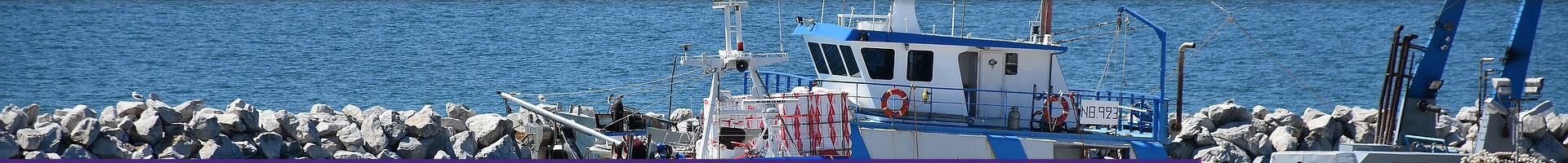 Barco pesquero en puerto